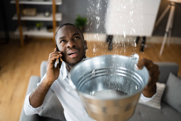 Best Mold removal after water damage  in French Valley, CA