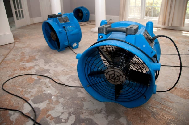 Best Residential water damage restoration  in French Valley, CA