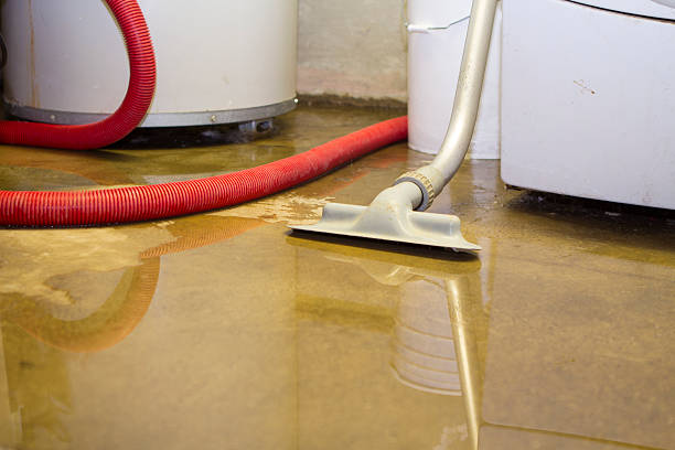 Best Flood damage cleanup  in French Valley, CA