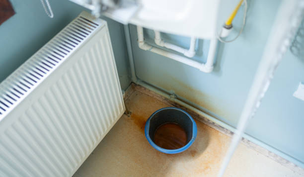 Best Flood restoration services  in French Valley, CA