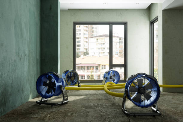 Reliable French Valley, CA Water damage restoration Solutions